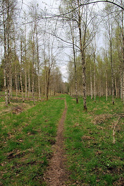 Bei Björkebohagen