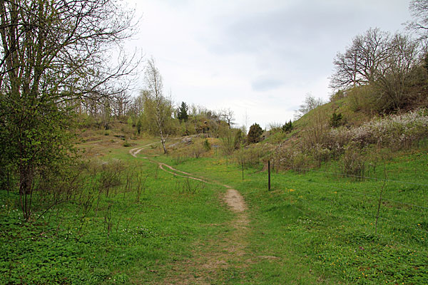 Kuröds skalbankar