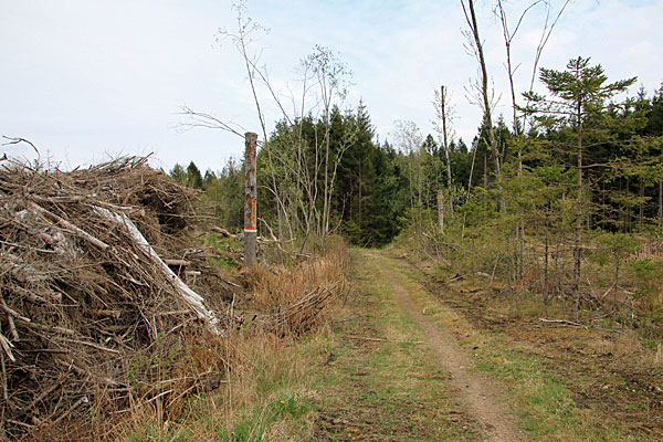 Feldweg