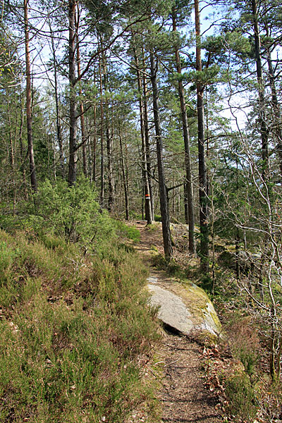 Am Stora Köperödssjön