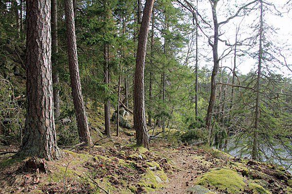 Am Stora Köperödssjön