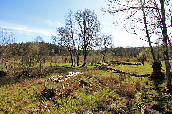 Bäveån nedre naturreservat