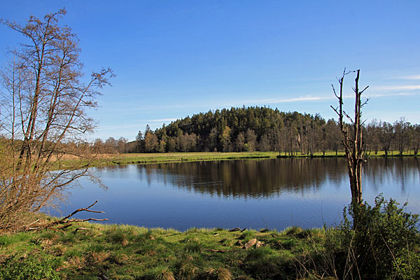 See im Bäveån nedre naturreservat