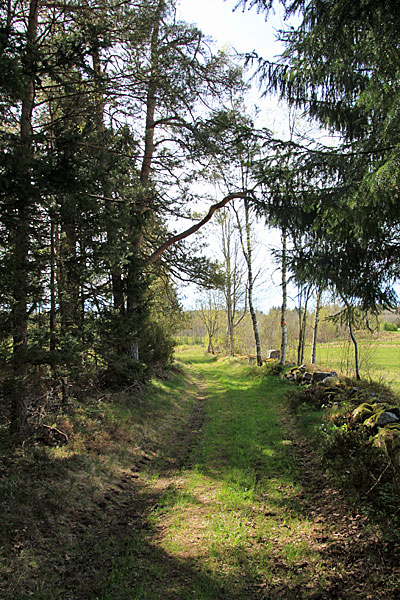Alte Strasse