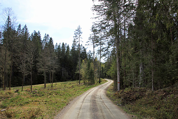 Ödegårdshagen