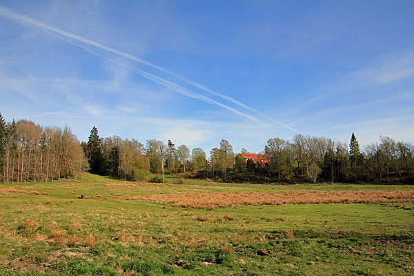 Björkebacken