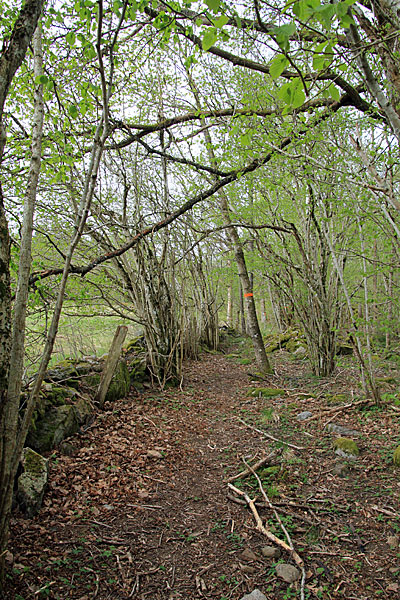 Steinmauer bei Lindjärn