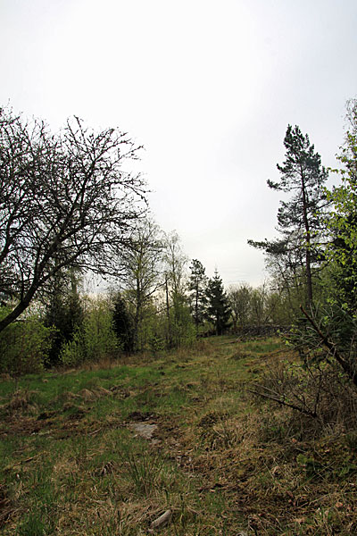 Bei Lindjärn