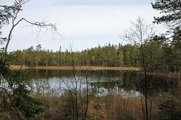 Duldevattnet