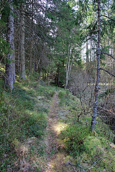 Pfad zum Vargefjället