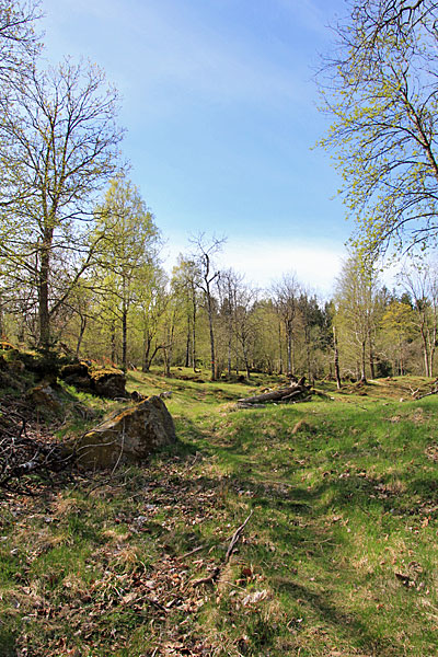 Vargefjället