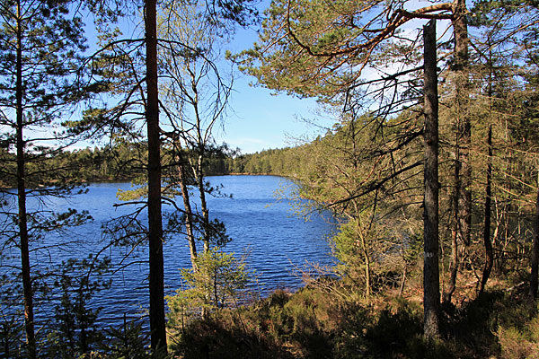 Långevattnet