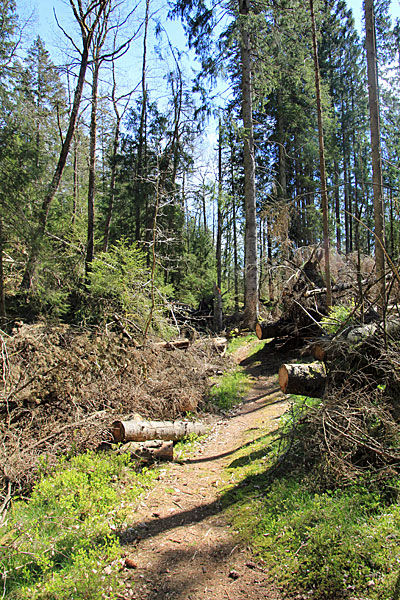 Bredfjället naturreservat