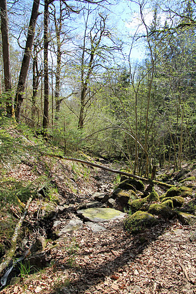 Bredfjället naturreservat
