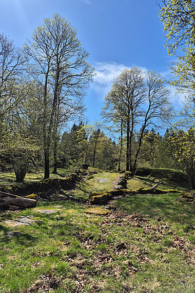Flågfjället