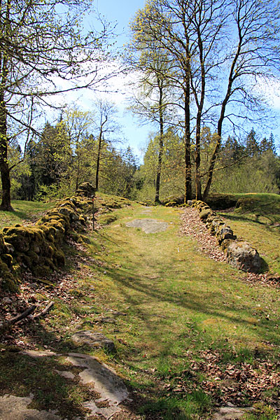 Flågfjället