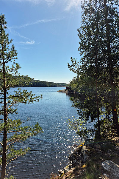 Store-Väktor