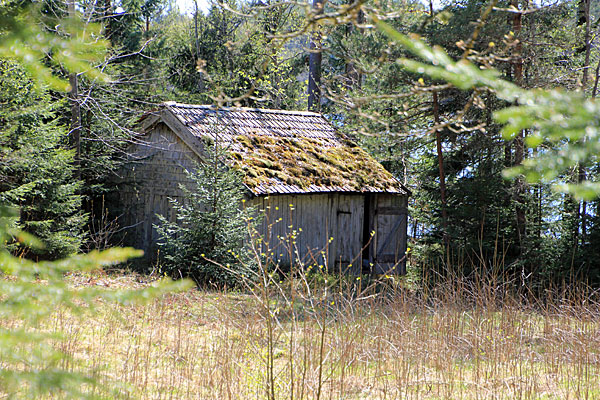 Alte Scheune