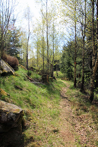 Weg zum Stora Gunnarsvattnet