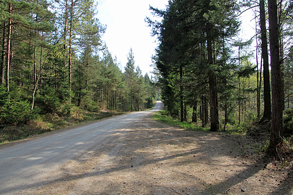 Strasse zum Västersjön