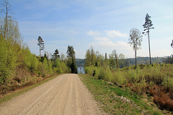 Abstieg zum Västersjön