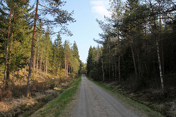 Waldstrasse