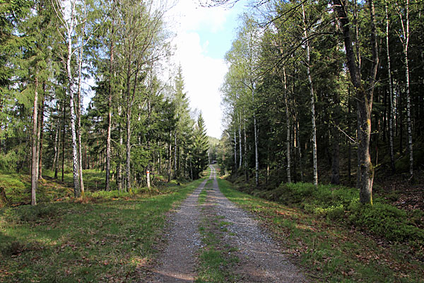 Fahrweg am Stora Hästevatten