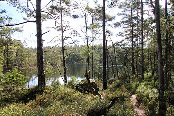 Lagsjön