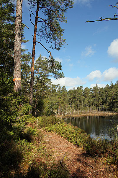 Lagsjön
