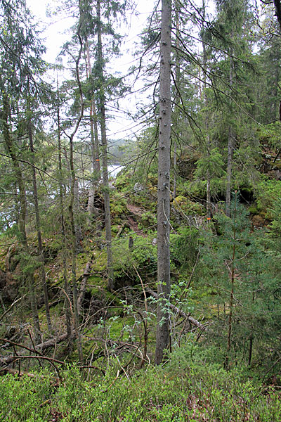 Am Måkevatten