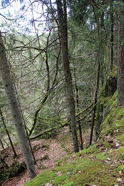 Felsen