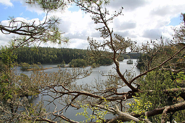 Härsvatten
