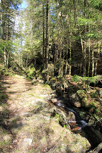 Seeabfluss Härsvatten