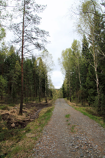 Fahrweg