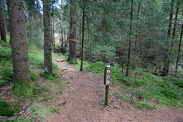 Wegweiser