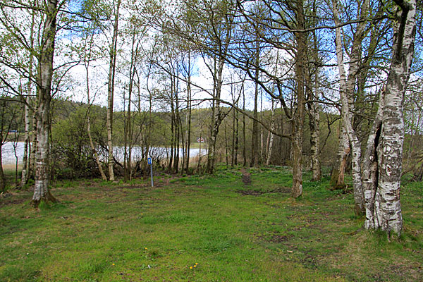 Wiese am Romesjön