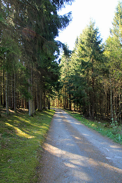 Skogshall