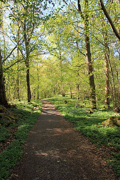 Mariebergs naturreservat