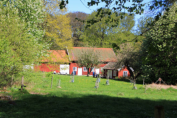Kolebackagården