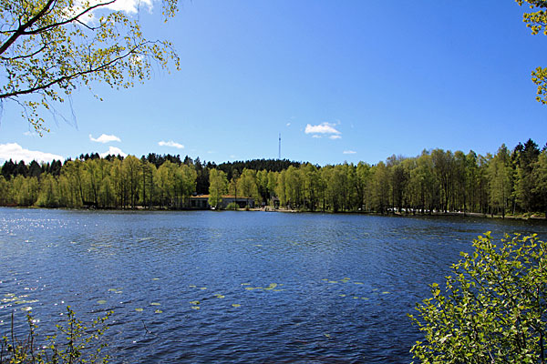 Svarte mosse
