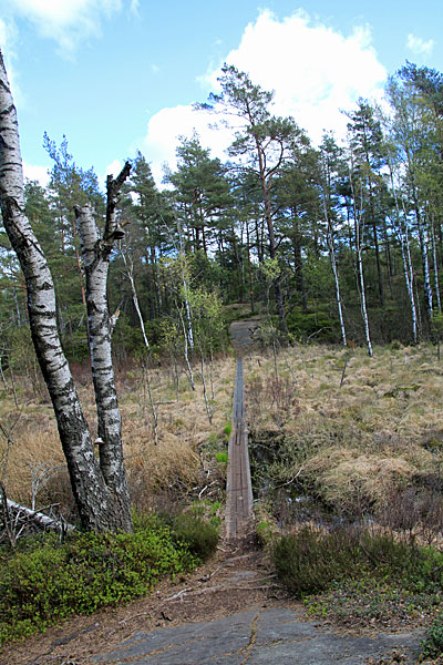 Wanderweg