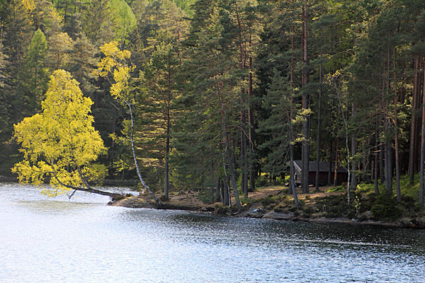 Vindskydd Gäddevattnet Väst