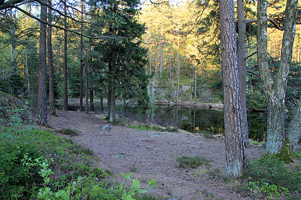 Gäddevatten