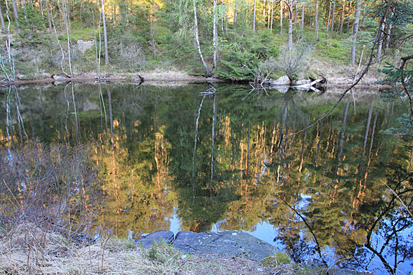 Gäddevatten