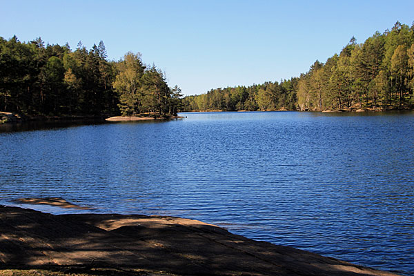 Gäddevatten