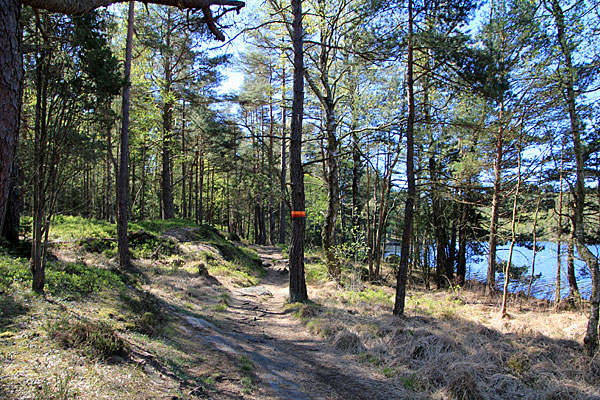 Am Stora Stentjärn