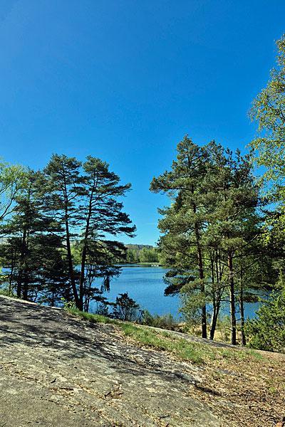 Stora Mölnesjön