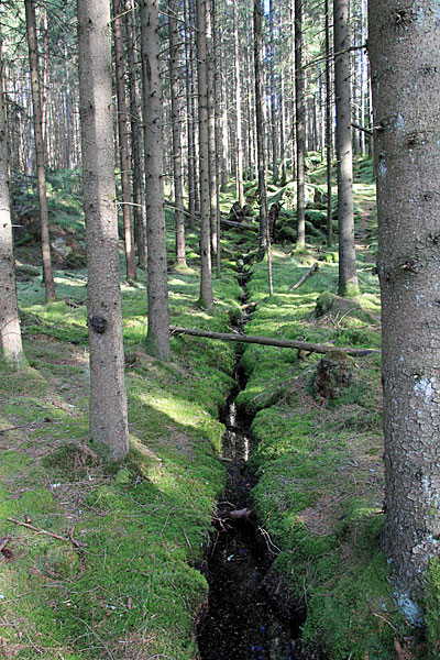 Waldbach