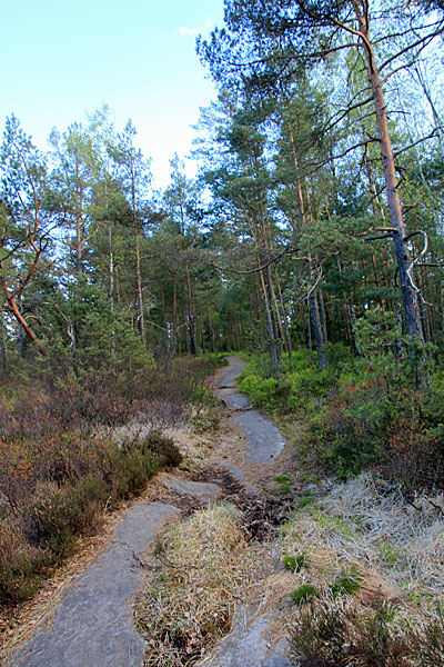Felsen