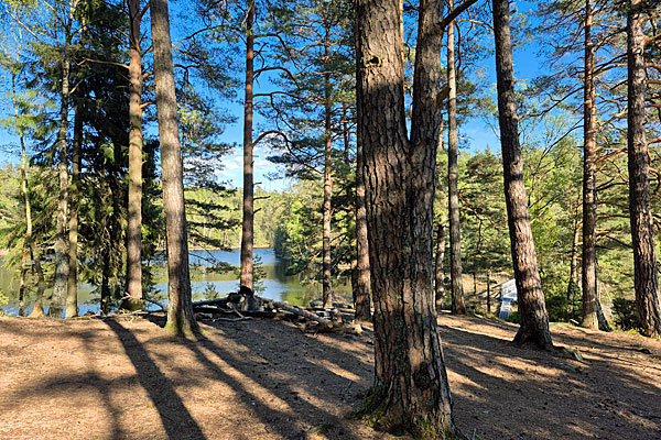 Rastplats Lilla Ramsjön